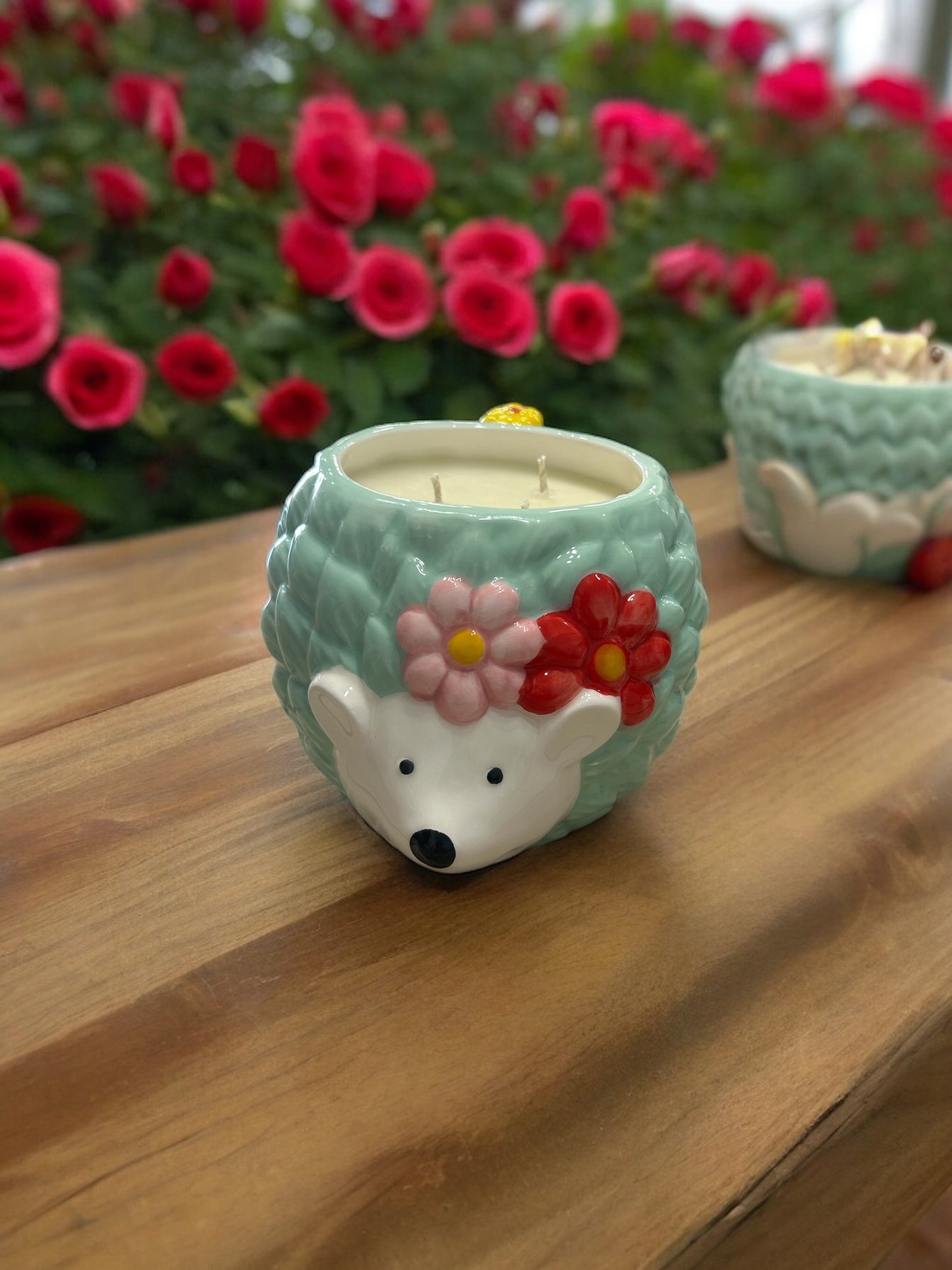 Possum Mug Candle